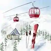Snowy Holidays