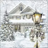 Christmas house