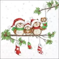owl family