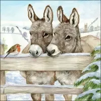 Donkeys