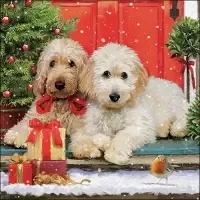 Dogs at the door