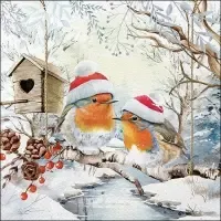 robins in winterland