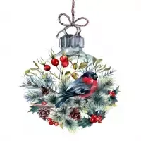 my winter friend