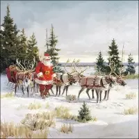 santa with his reindeers