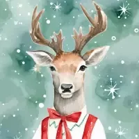 Mr Reindeer