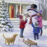 fun with the snowman