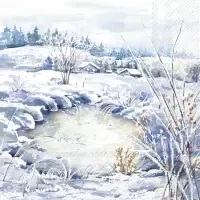 frosty landscape