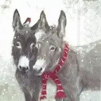 pips and grey