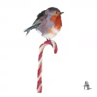 candy cane robin