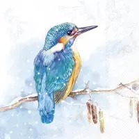 the kingfisher light blue