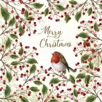 merry bird