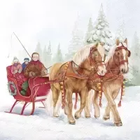 winter sleigh ride 2