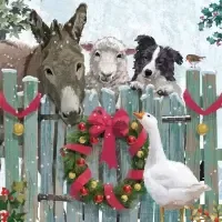 holiday get-together