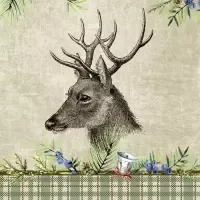 deer