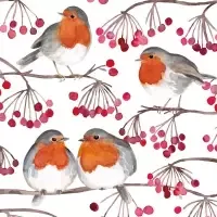 birds and berries