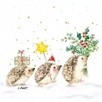 christmas hedgehogs