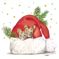 get cozy