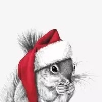 ralf red hat