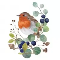 oiseau sur branche