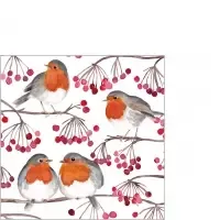 Birds &amp; Berries