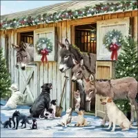 Animal Friends
