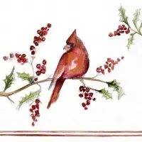 Christmas Cardinal
