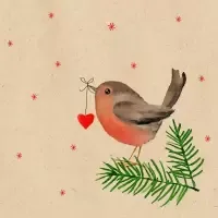 By Nature - Robin Heart