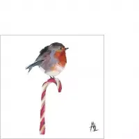 Candy Cane Robin
