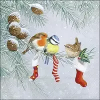 Christmas Socks