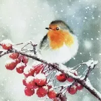 Hello Robin