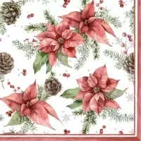Poinsettia &amp; Pine Cone