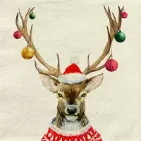 Ready for Christmas