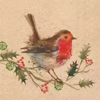 Recycled Winter robin nature