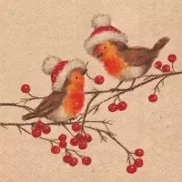 Recycled Christmas robins nature