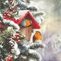House with robins