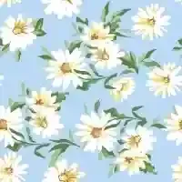 Daisies