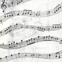 Music Notes