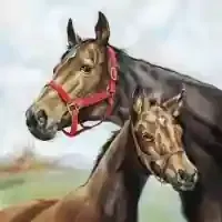 Horse Love