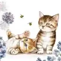 Cats and Bees