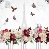 Romantic Paris