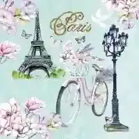 Bike in Paris