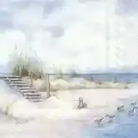 Seaside Feelings