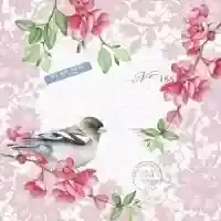 Sweet Bird