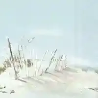 Beach Life