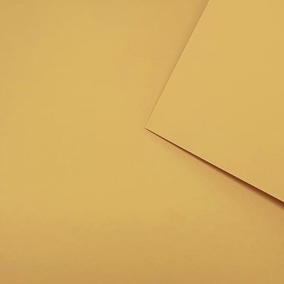 Plain Card Stock A4 160gsm