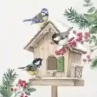 Birds Meeting Point cream