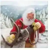 Feeding the Reindeer