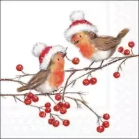 Christmas Robins white