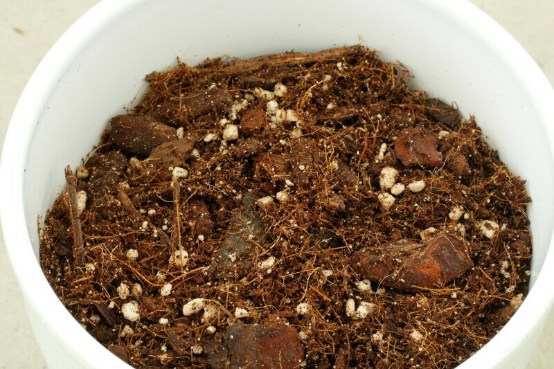 Chunky Funky mix for aroids 25L Chunky Funky mix for aroids 25L
