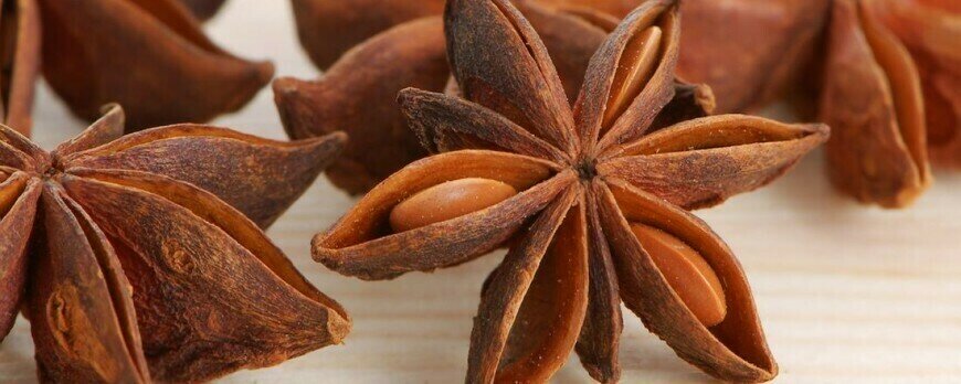 ينسون تاج - اول السواح